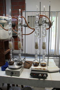 各品牌挖掘机水温详解，从数据到实际应用案例